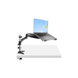 Brazo De Escritorio Para Laptop / Monitor Startech.Com 34" Hasta 8Kg Negro Armunonb1