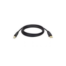 Cable Usb 2.0 Tripp Lite Usb 2.0 B Macho 3.05M Negro U022-010