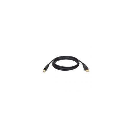 Cable Usb 2.0 Tripp Lite Usb 2.0 B Macho 3.05M Negro U022-010